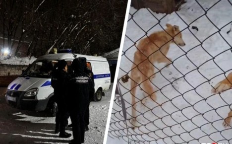 ����������� �� ��������� ���������� � �������� ��������� � ��������� � ������ �� ������: �. �����, ��. ����������, �. 5 ������� �������� ������������ ����� ������ �������� �������� ������ ������