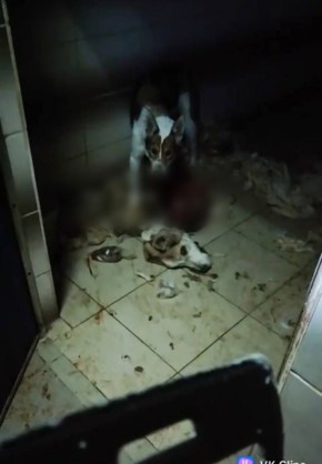 ����������� ����� ��������� � ������ �������� ������ ������ ��� �������� �������������