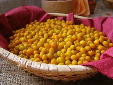 �������� �� ����: ��������� ���������� ������� �������� �������