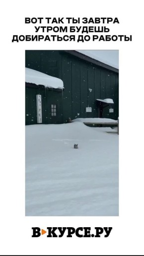 �������� ������� �� �� �����.��