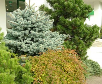 ������� ���: ��� ������� ���� ���������� ���� � ����������� �������