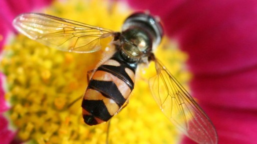 ��� ����� ����� ��� ������ �������� ��� ���: �� ������ ������� ����, �� � ������� ���� �����