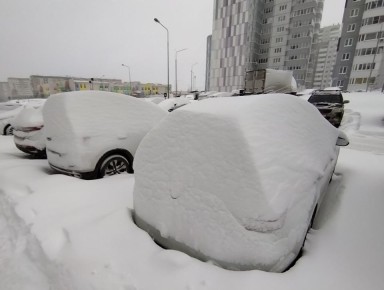 ����� ������� ������� �� 25 ��� ����� ������ � �����!