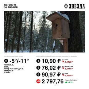 Доброе утро, Пермь!. Сегодня снова пасмурно и снежно