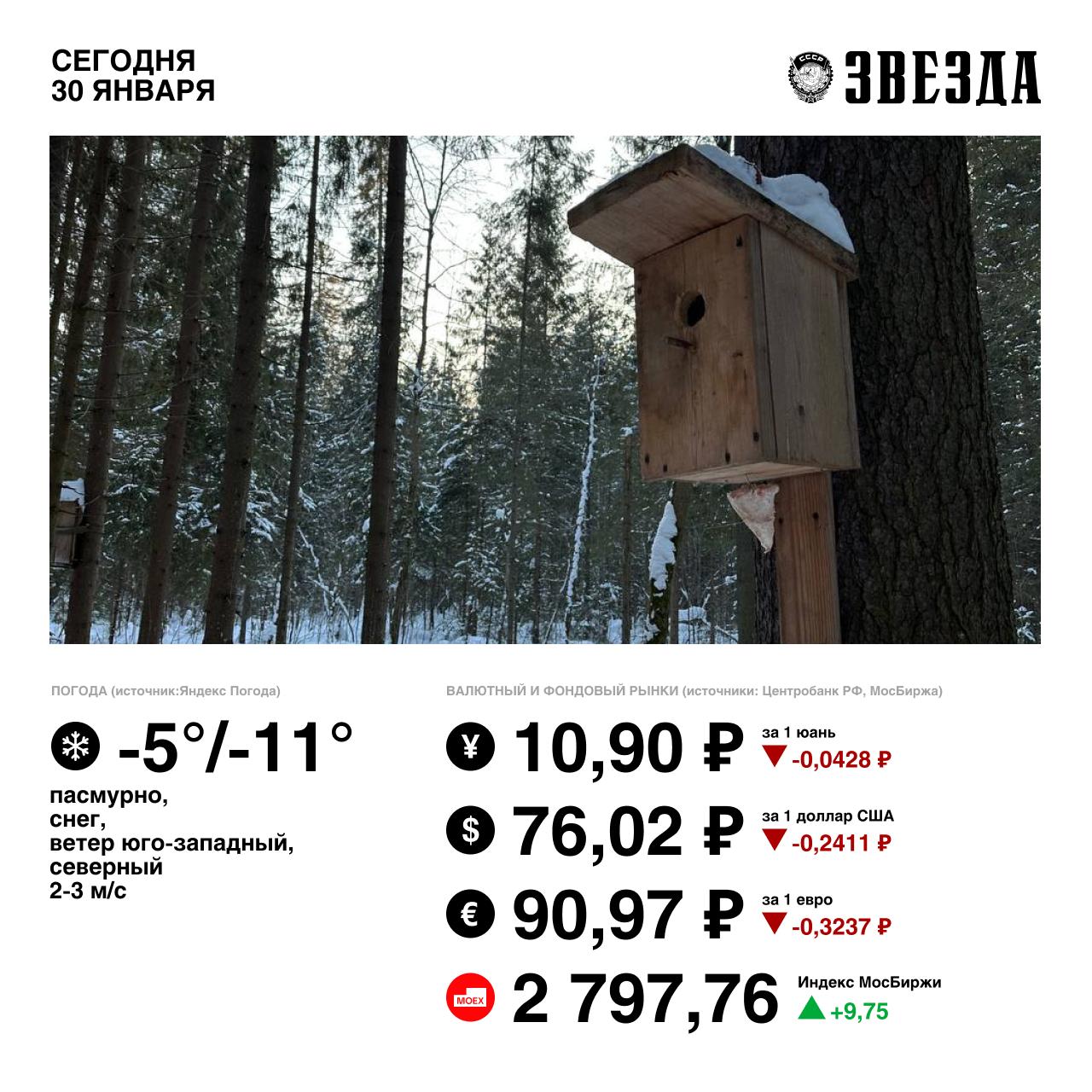 Доброе утро, Пермь!. Сегодня снова пасмурно и снежно