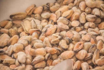 ��� �������� ������� ������: ������� ��������