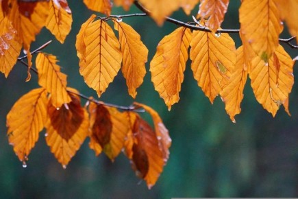 15 ��������: �������� �������� � ������� � ���� �������