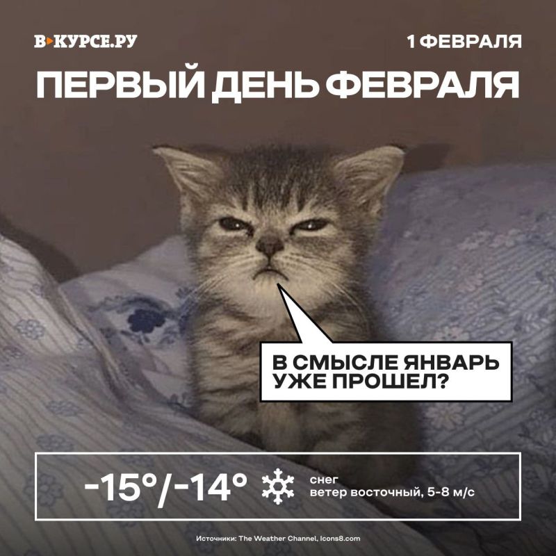 ������ ����! ������� ����. �����