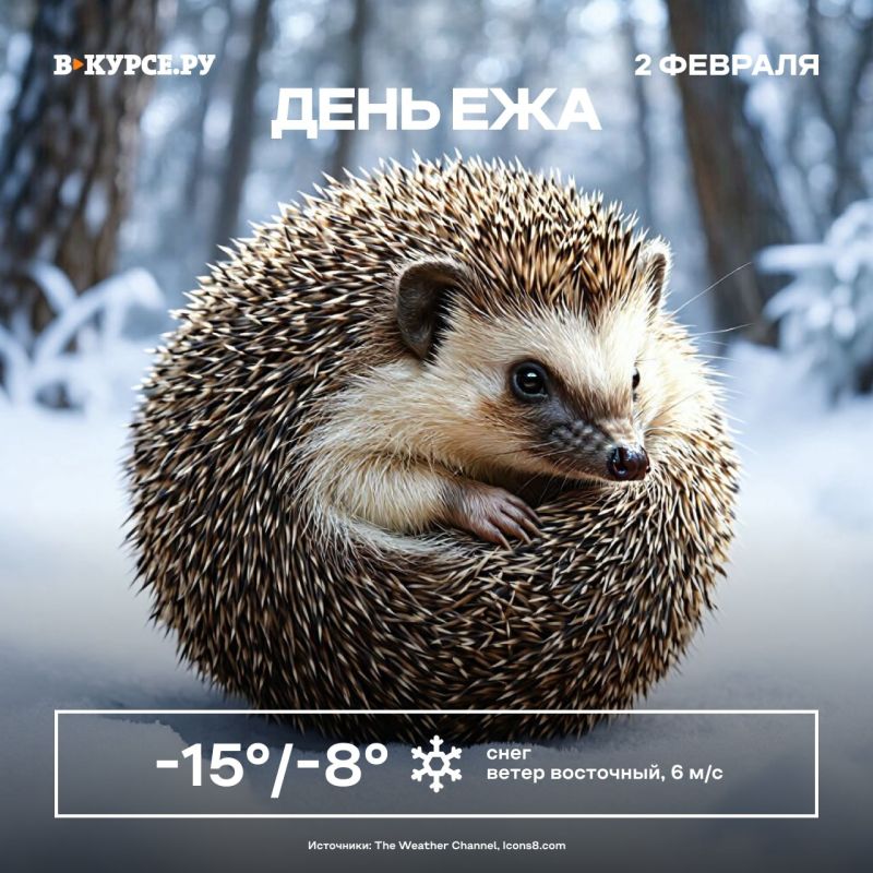 ������ ����! � ����� ������� ������