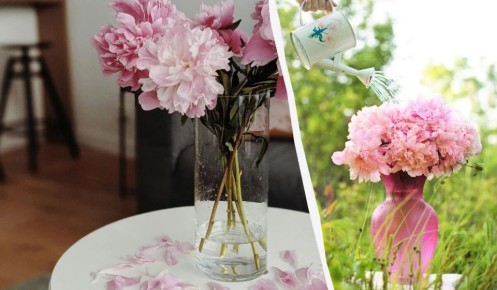 ��� ��������� �������� ������ � ����: ������ ���������