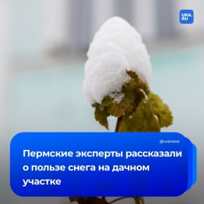 Снег может быть полезен для дачи