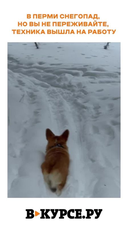 �������� ������� �� �� �����.��