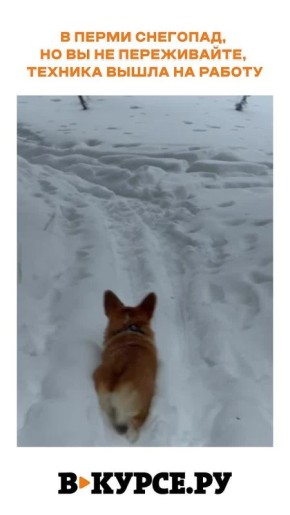 Вечернее веселое на «В курсе.ру»