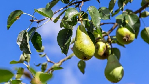 ��� ��������� ������������� ������� ����� � ��������, ����� �������� ������ ������ ��� ����� ��� ����