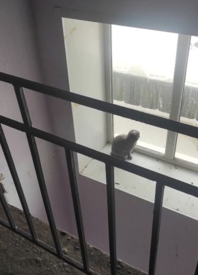 ����, ������� ����� ��� �� ����