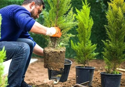 ������� ������� ��������: ��� ����� �����