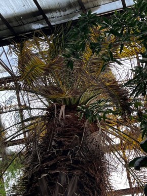 � ����� ����� ��������� ���� �� ��������� �������� ������