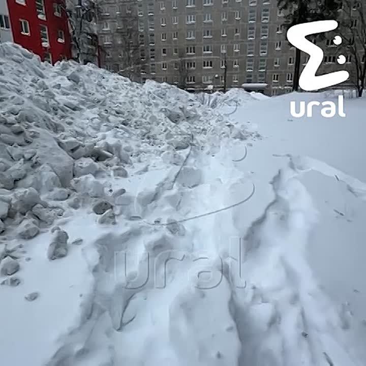 ������� ������� ������ ������ � �������� � �����