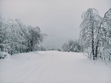 ��������� � �������� �������� �� ����� ��������� �������� ����������