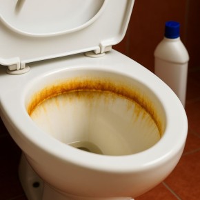 ��� ������������ ������� ������� ����� �� 40 ����� � ��������� ������