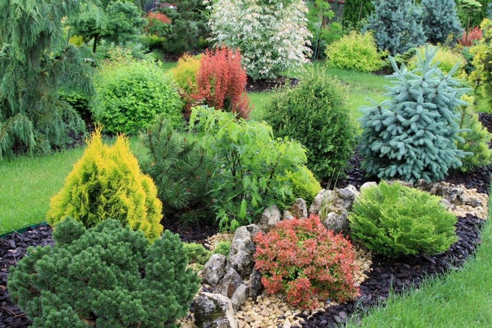 ��� ����������� ������� �������� � ����: ������� ����� ��� �������� ������