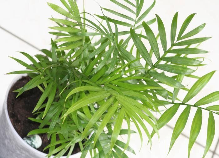 �������� ��� ����: ������� ������ � ����� ����