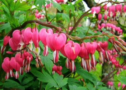 ��� ��������� ��������: ������� ����� �� '�������� �������'