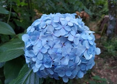 ������� ������ ���������� ��������� ��� ������������� ��������