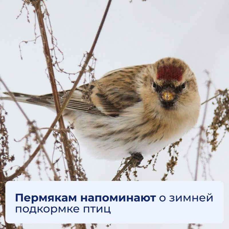 �������� ���������� � ������ ��������� ����