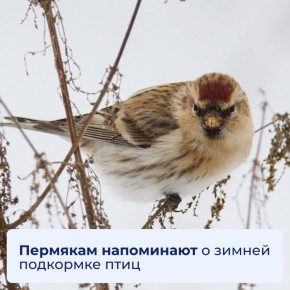 �������� ���������� � ������ ��������� ����