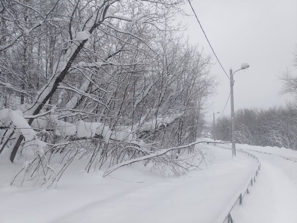 � �������� ����� ������� � ������