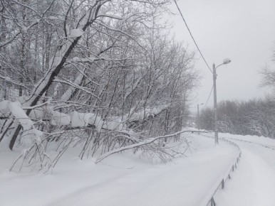 � �������� ����� ������� � ������