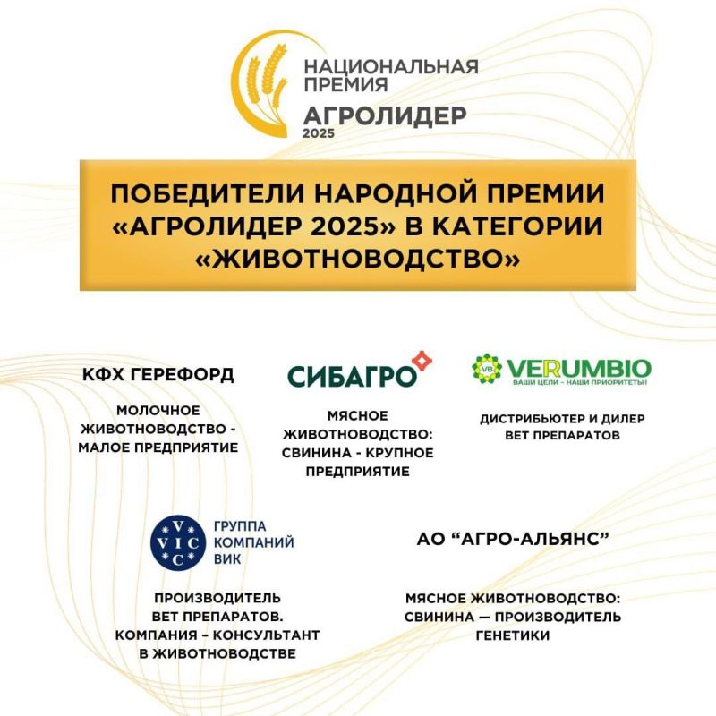 �������� ������������������ � ���������� ������������ ������ ����������-2025�