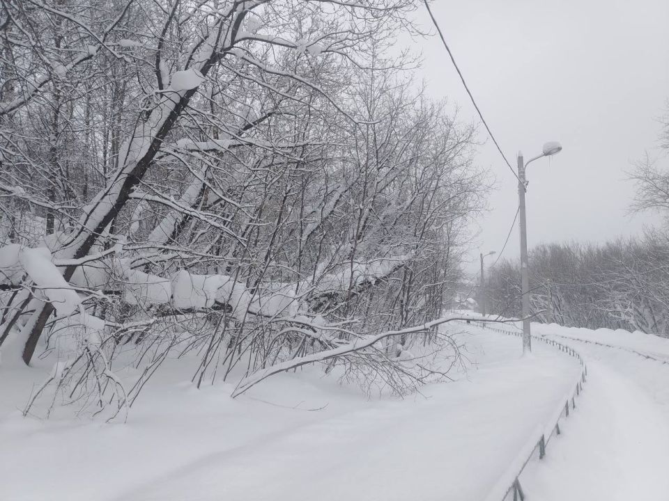 � �������� ��������� ��������� � ��������