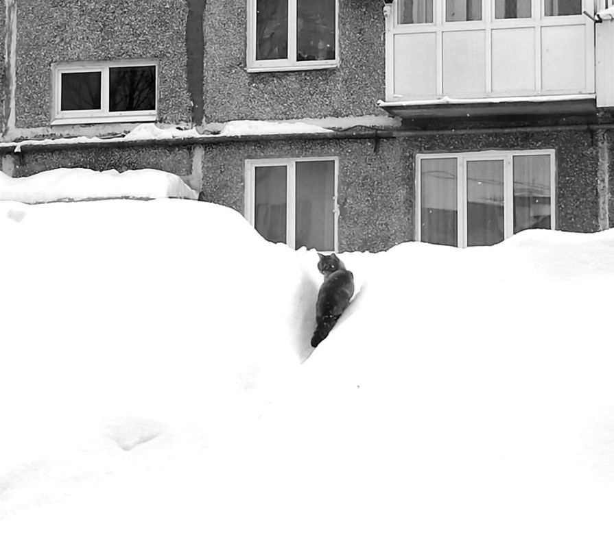 � ����� ������ ��� ����� �����, ��� ������ ������� ������������ � ������������� ���������