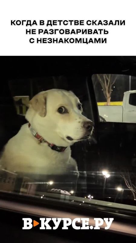 �������� ������� �� �� �����.��