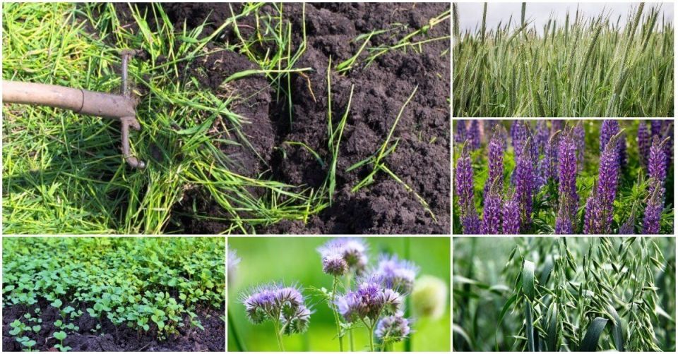 ������� ���������: ��� ��������� �������� �������� �����