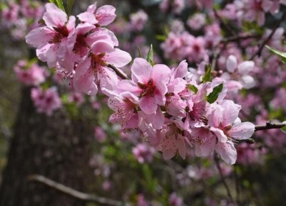 ��� ��������� ���������� � ������� ������� ��� ��� �������� � �����