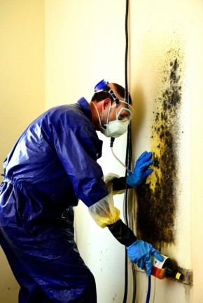 ��� ���������� ���������� � ��������: ������ � ������������