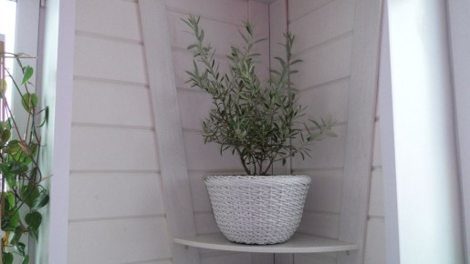 ���������� ����� �� ������� ��� �������� ��������