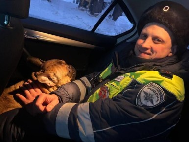 ����������� � ������������� �������� ������� ����� ������� ��������, ������������� �� �����