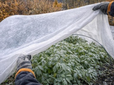 ��� �������� ��������� � ������������ �� ������ �������