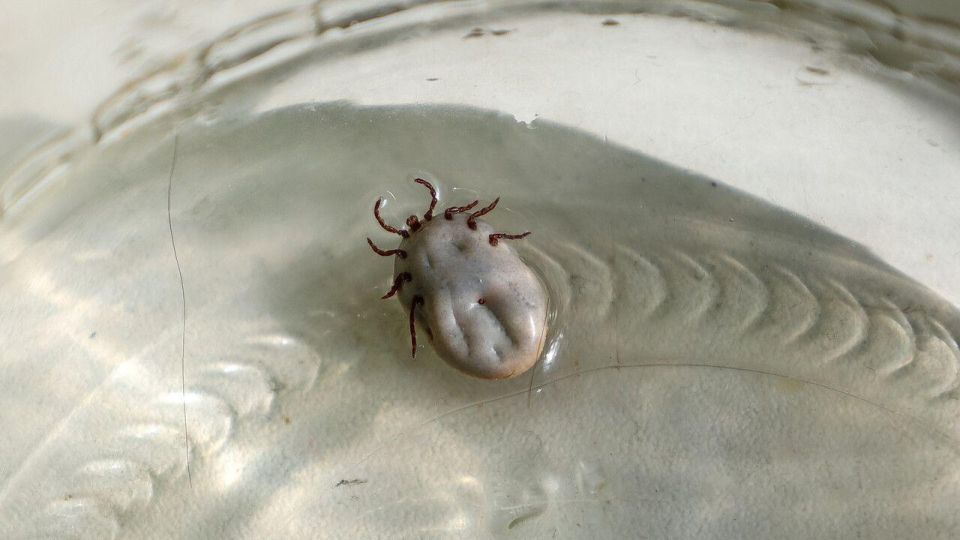 ����� ������ ���������? ���������� � ����� ����� � ������ ���������