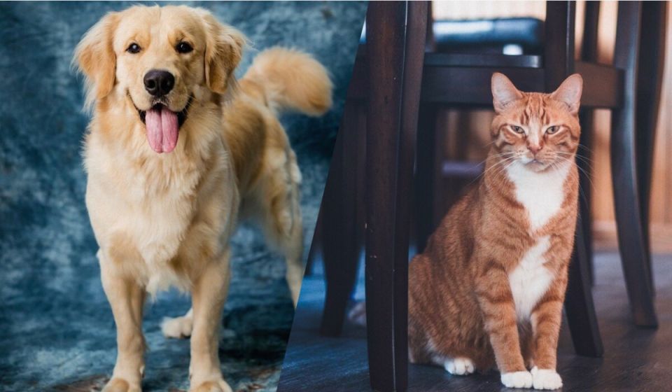 ��� ����� �� ������������ ����� ��������� ����� � ������ ������ �� �����