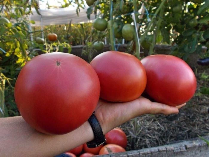 ����� ���������: �������� ����� ��� ��������� ������