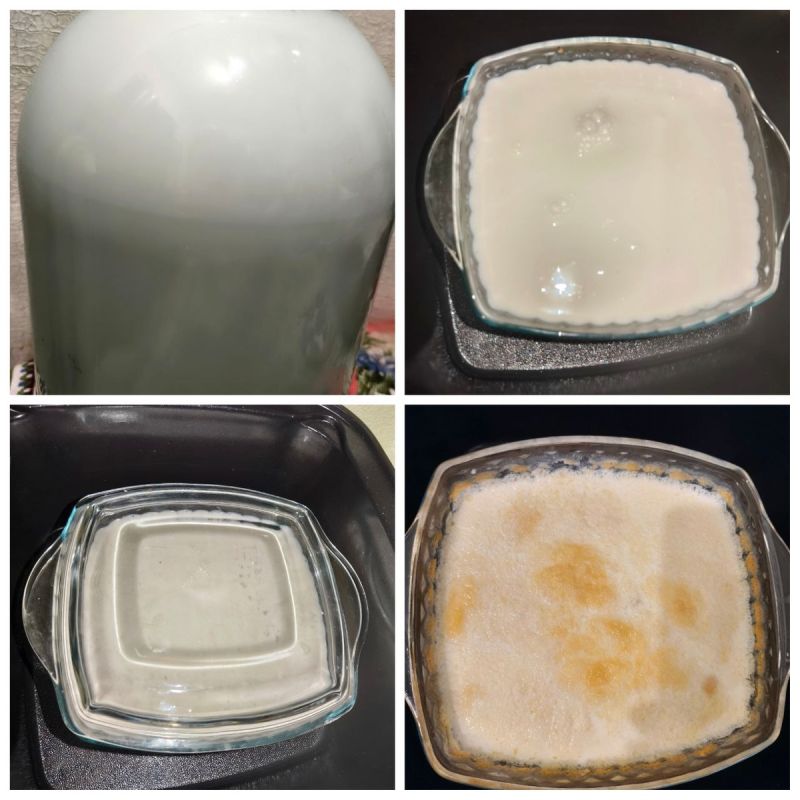 ���� �������: ��� ����������� �������� ������� � ���������