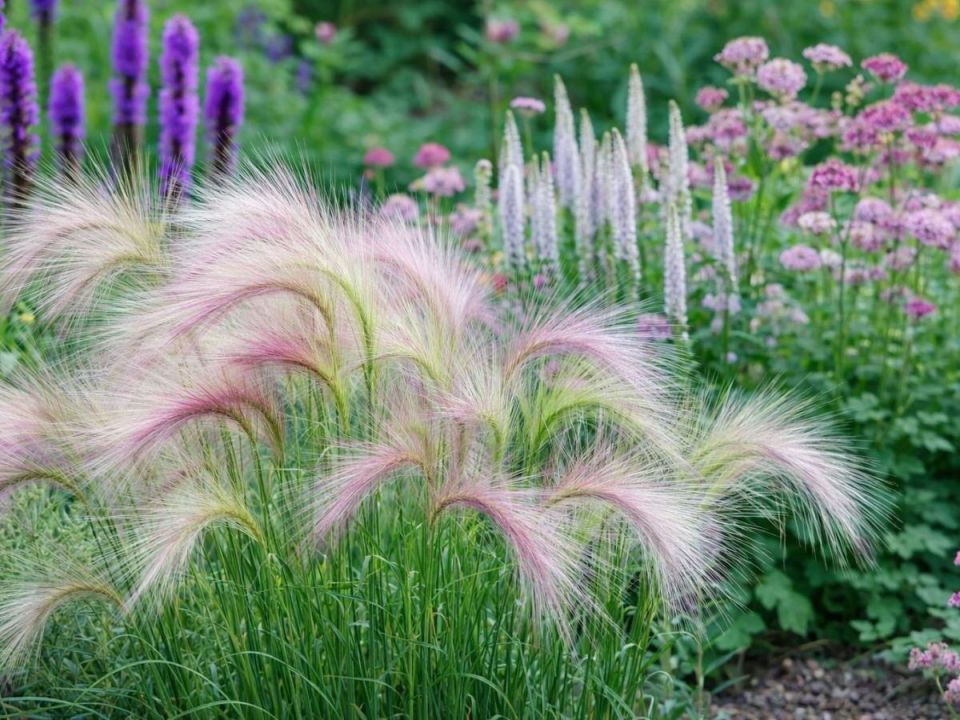 ������ ���������: ����� ������ ��� ������ ��������