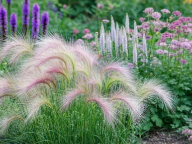 ������ ���������: ����� ������ ��� ������ ��������