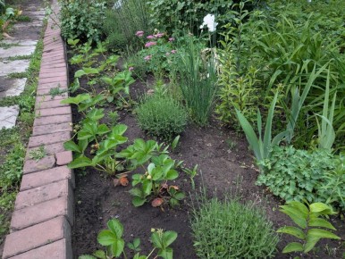 ������� � ��������� � ��������� ������� �� �������