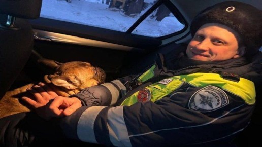 � �������� ���� ����������� ������� ����� ������� ������������� ��������